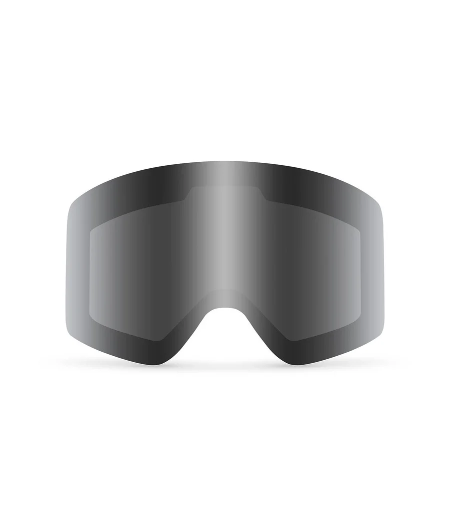 Gray APRES Snow Goggle Lens - Image 2