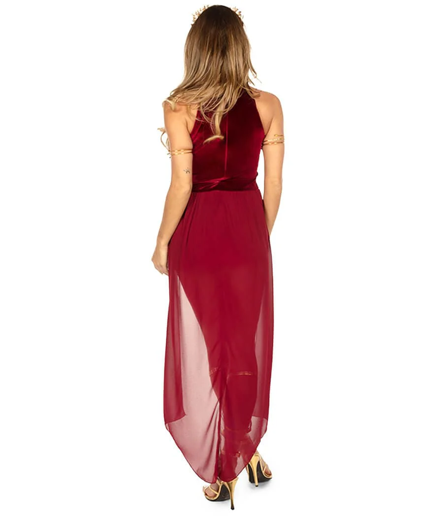 Wine Goddess Costume Dress - Image 2